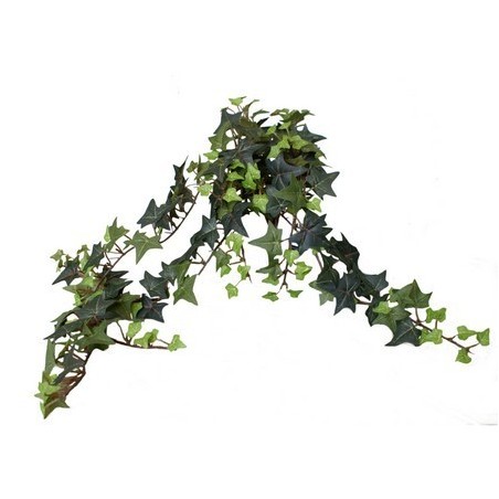 LIERRE CHUTE 58CM / 1 PIECE