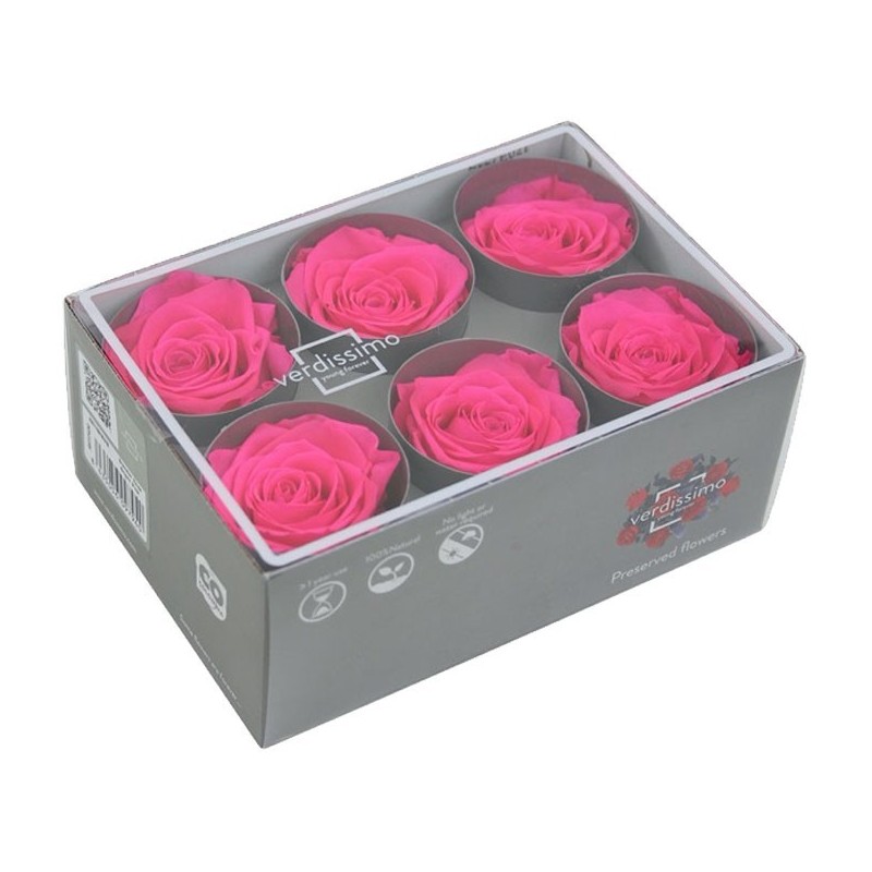 VERDISSIMO-ROSE Standard 6P