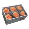 VERDISSIMO-ROSE Standard 6P