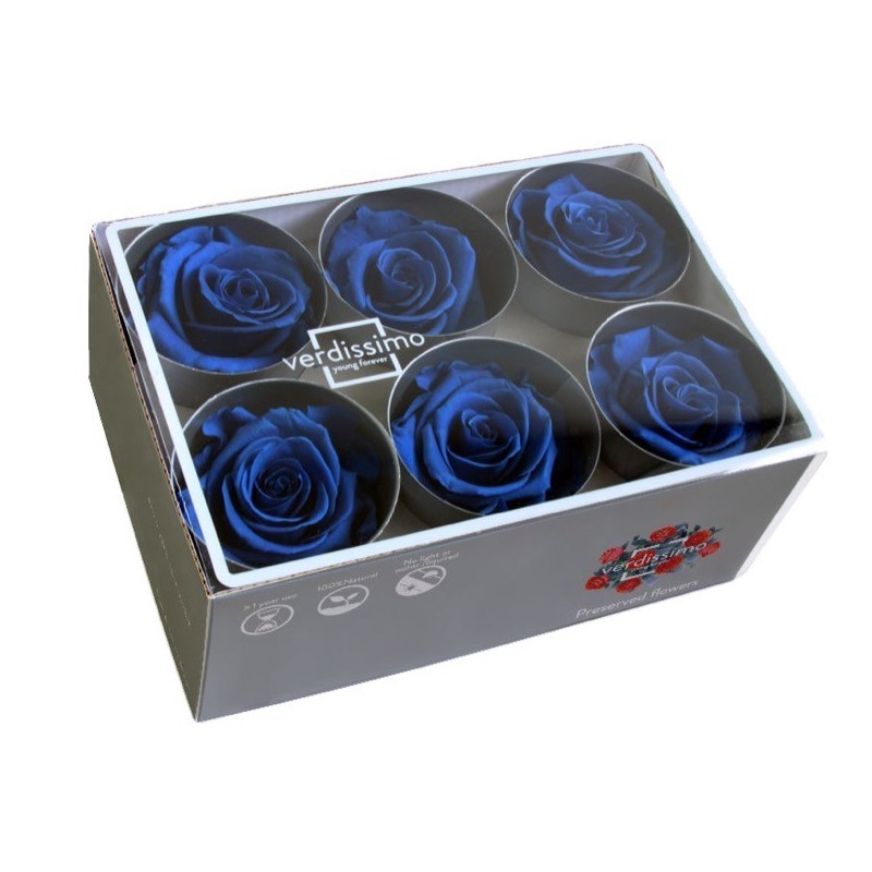 VERDISSIMO-ROSE Standard 6P