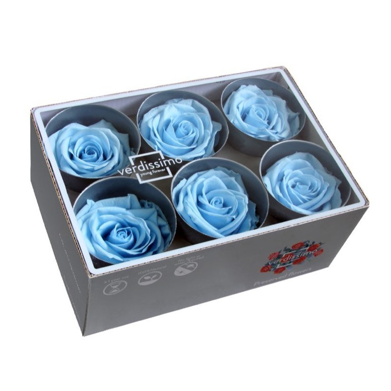VERDISSIMO-ROSE Standard 6P