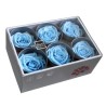 VERDISSIMO-ROSE Standard 6P