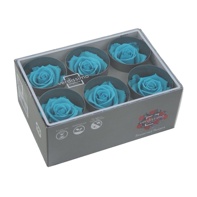 VERDISSIMO-ROSE Standard 6P