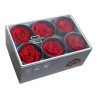 VERDISSIMO-ROSE Standard 6P