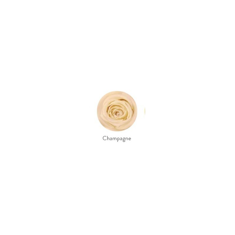 VERDISSIMO-ROSE Standard 6P