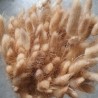 LAGURUS SECHE NATUREL 100gr