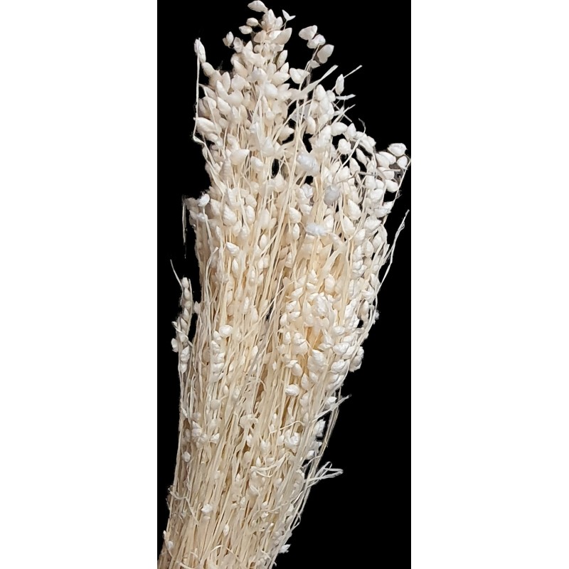 BRIZA MAXIMA BLANC SAC 100GR