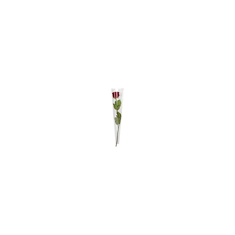 CONE A ROSE 55X13.5X03CM / 50 PIECES