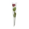 CONE A ROSE 55X13.5X03CM / 50 PIECES