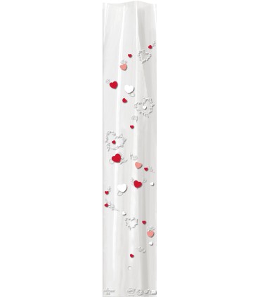 ETUI A ROSE pochette FANTAISIE 16X80CM  / 100P