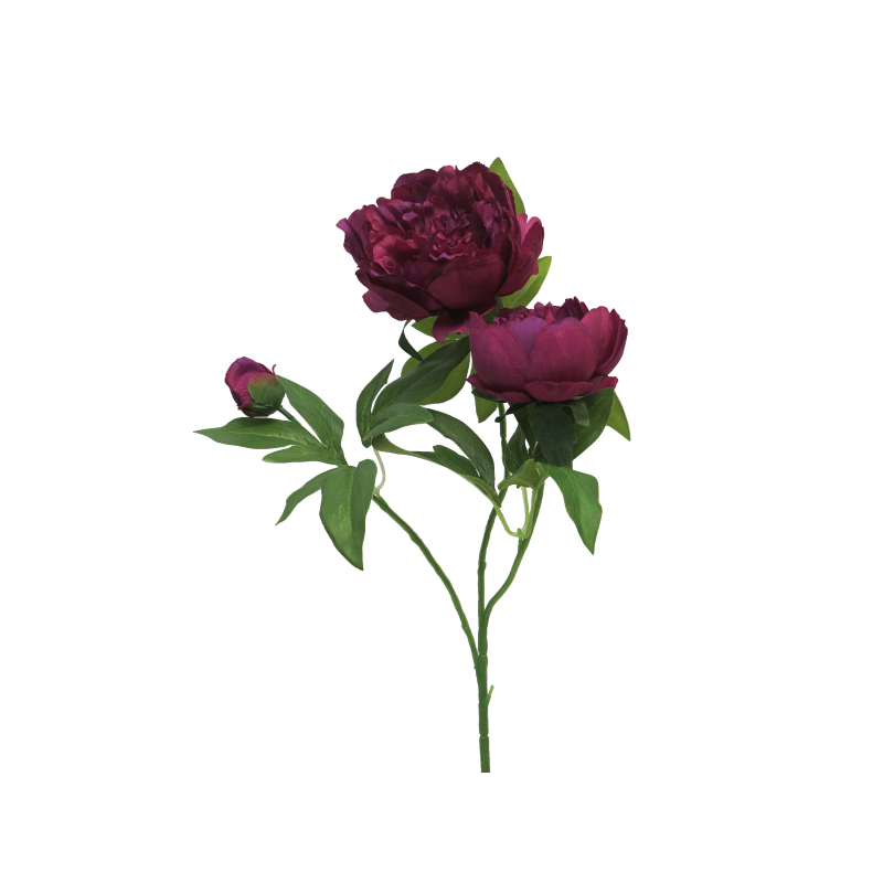 FLEUR PIVOINE DUCHESSE 70CM à la pièce