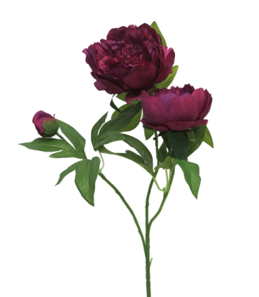 FLEUR PIVOINE DUCHESSE 70CM à la pièce