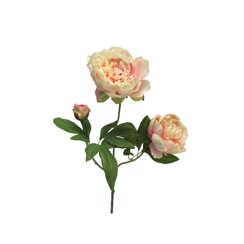 FLEUR PIVOINE DUCHESSE 70CM à la pièce