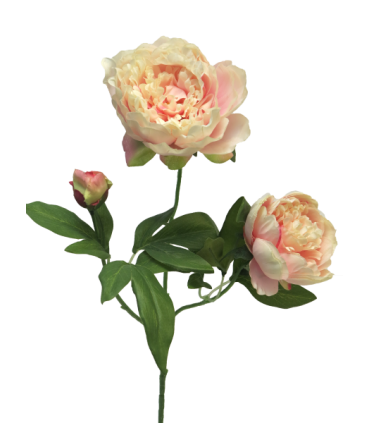 FLEUR PIVOINE DUCHESSE 70CM à la pièce