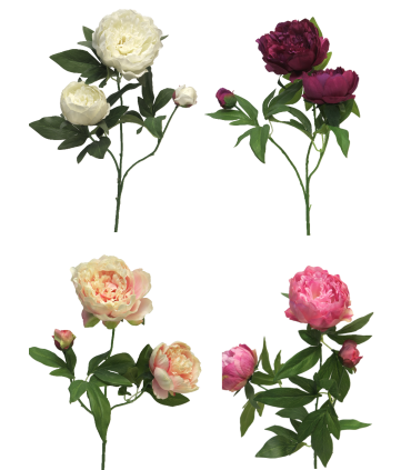 FLEUR PIVOINE DUCHESSE 70CM à la pièce