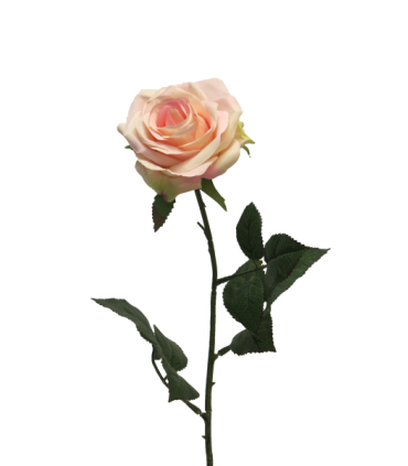 FLEUR ROSE DE DIJON 64CM à la pièce