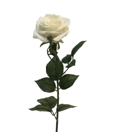 FLEUR ROSE DE DIJON 64CM à la pièce