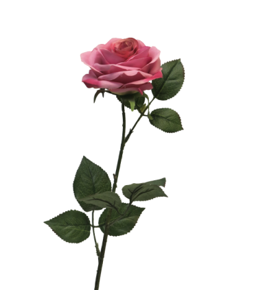 FLEUR ROSE DE DIJON 64CM à la pièce