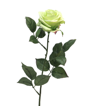 FLEUR ROSE DE DIJON 64CM à la pièce