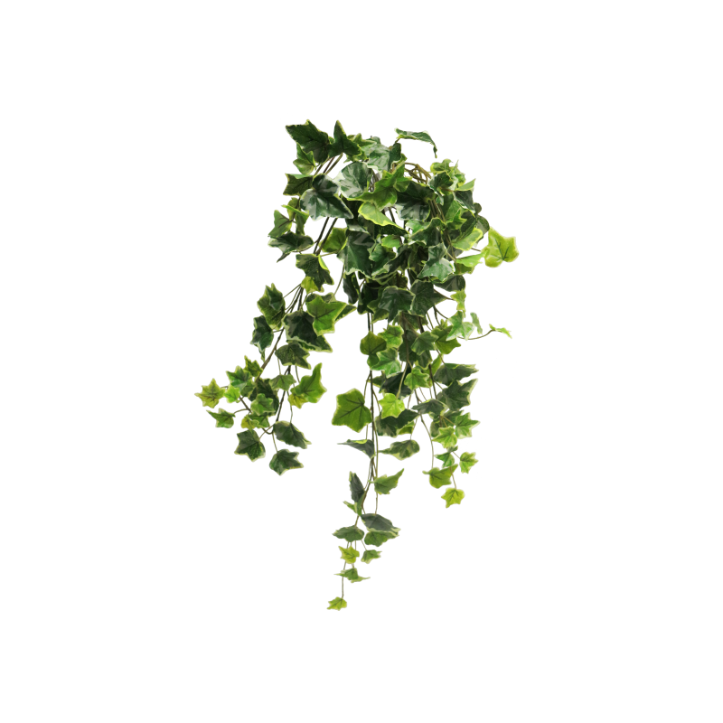 FEUILLE LIERRE IVY CHICAGO 70CM à la pièce