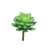 FLEUR SUCCULENT SEDUM 16CM à la pièce