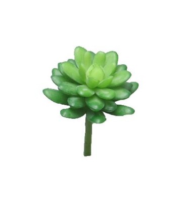 FLEUR SUCCULENT SEDUM 16CM à la pièce
