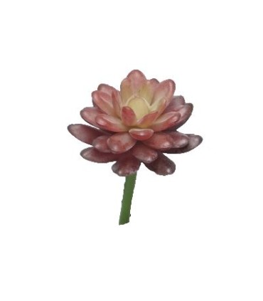 FLEUR SUCCULENT SEDUM 16CM à la pièce