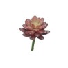FLEUR SUCCULENT SEDUM 16CM à la pièce