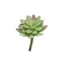 FLEUR SUCCULENT SEDUM 16CM à la pièce