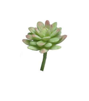 FLEUR SUCCULENT SEDUM 16CM à la pièce