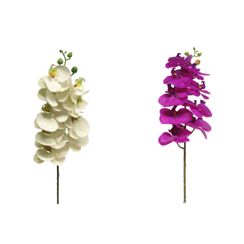 FLEUR PHALAENOPSIS BORA 77CM à la pièce