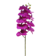 FLEUR PHALAENOPSIS BORA 77CM à la pièce