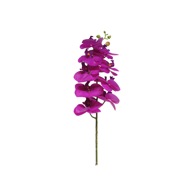 FLEUR PHALAENOPSIS BORA 77CM à la pièce