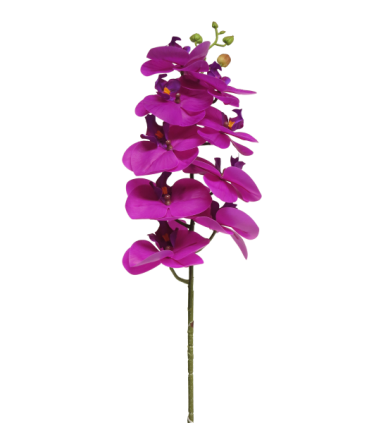 FLEUR PHALAENOPSIS BORA 77CM à la pièce