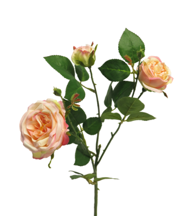 FLEUR ROSE ITALIAN 3 fleurs 61CM /1P