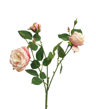 FLEUR ROSE ITALIAN 3 fleurs 61CM /1P