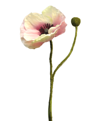 FLEURS PAVOT RHOES BEAUTY 60CM/1P