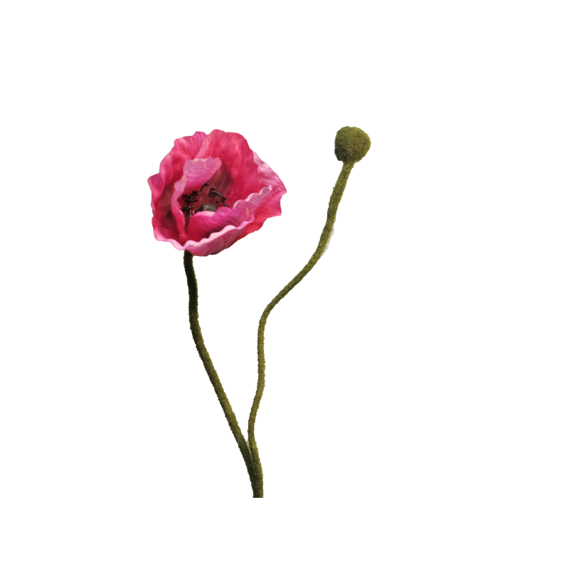FLEURS PAVOT RHOES BEAUTY 60CM/1P