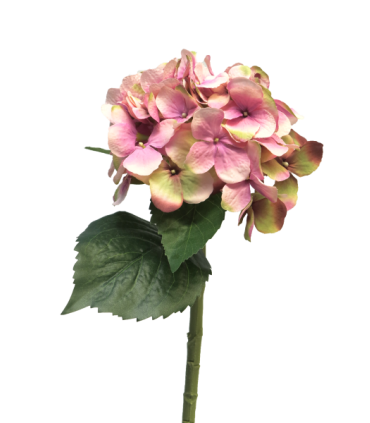 FLEUR HYDRANGEA ARTIST 48CM à la tige