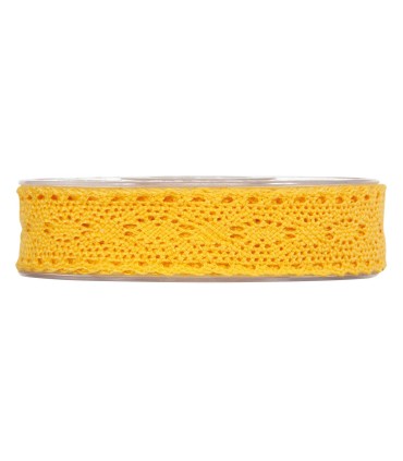 RUBAN CROCHET 25MM X 08M