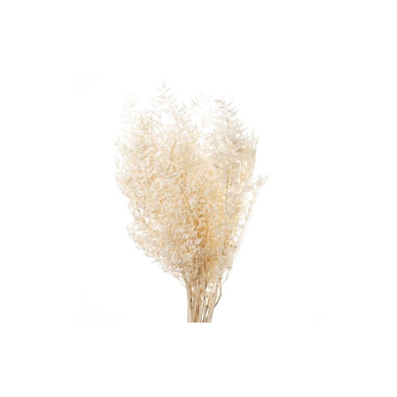 BRANCHE RUSCUS SAC 150GR