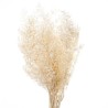 BRANCHE RUSCUS SAC 150GR