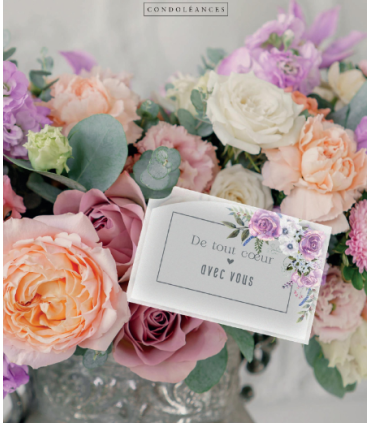 JESO CARTE "IMAGINE" les 10P