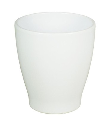 C.POT ORCHIDEE 013 H15CM /6P