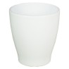C.POT ORCHIDEE 013 H15CM /6P