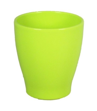 C.POT ORCHIDEE 013 H15CM /6P