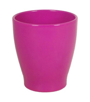 C.POT ORCHIDEE 013 H15CM /6P