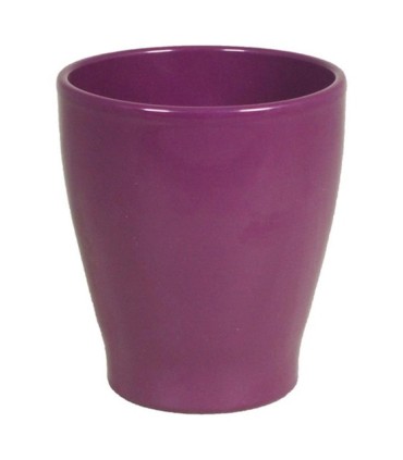 C.POT ORCHIDEE 013 H15CM /6P