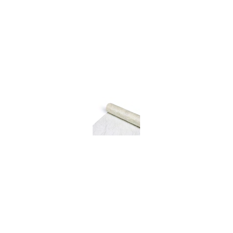 ROULEAU SIZOWEB SISAL  60CM X25M