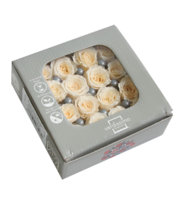 VERDISSIMO-ROSE Princesse 16P